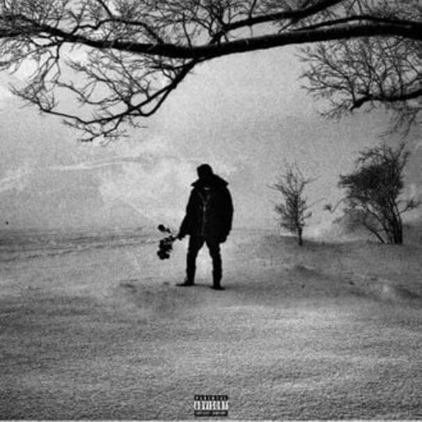 M.A.N (Black Roses & Lost Feelings)