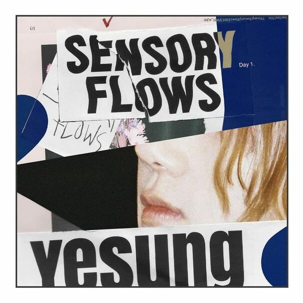 Sensory Flows