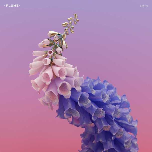 Skin (Flume)