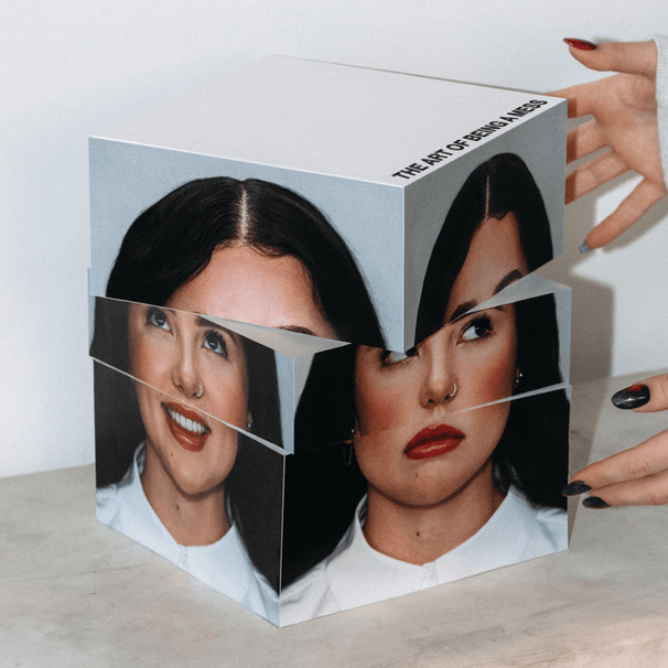 THE ART OF BEING A MESS