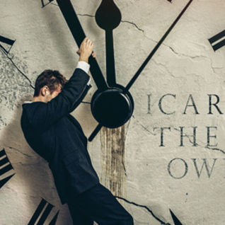 Icarus The Owl