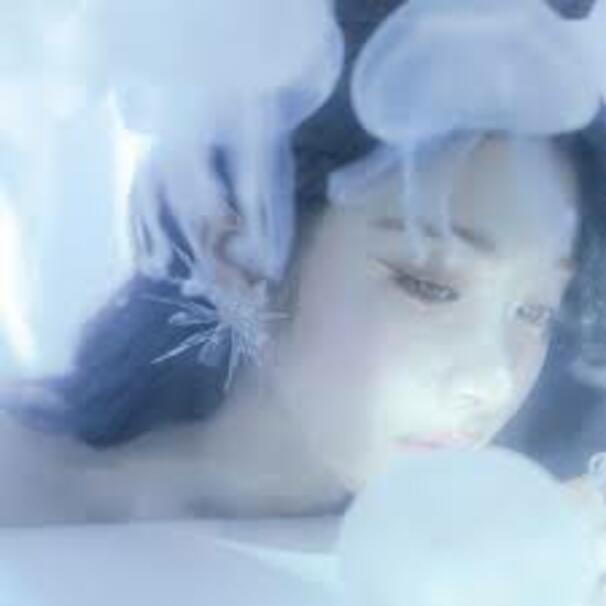 해파리 (Jellyfish)