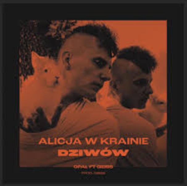 Alicja w krainie dziwów
