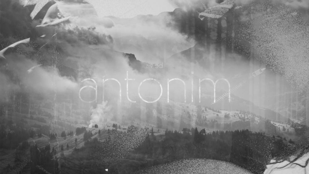 Antonim