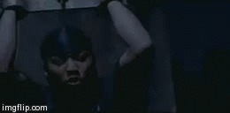 Bats Fly In The Blue Rain