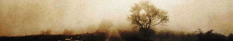 Track 08 on Wincing The Night Away