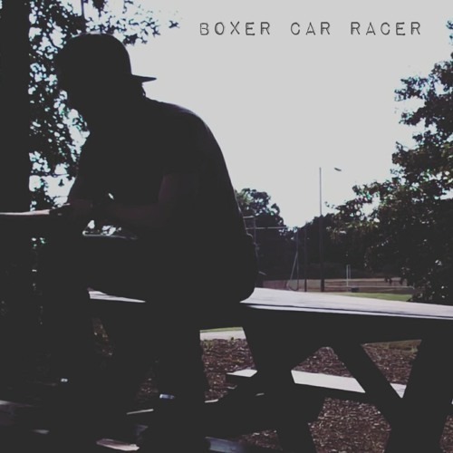 Boxer Car Racer