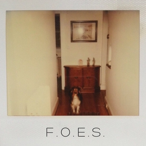 FOES: Fresh Outta Elementary School