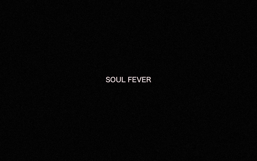Soul Fever: Pieces