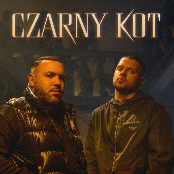 Czarny kot