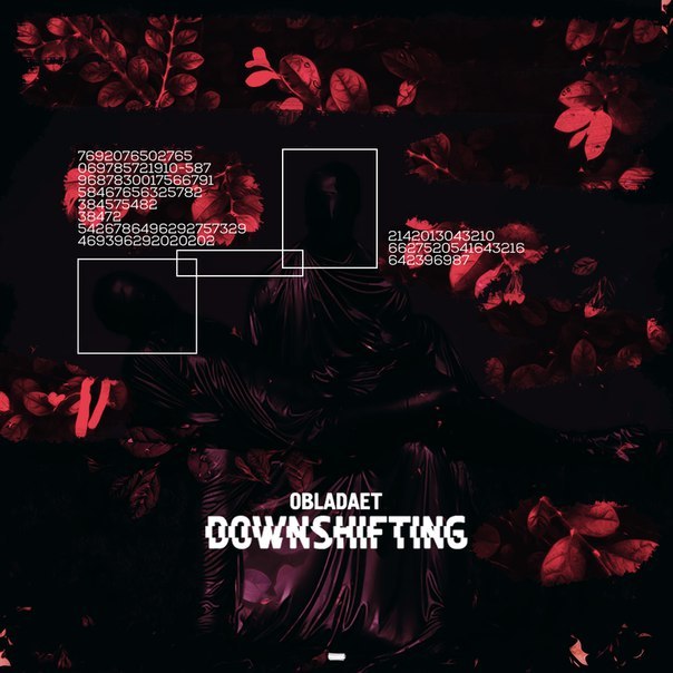 DOWNSHIFTING