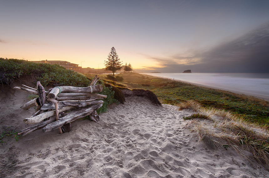 Driftwood Seat