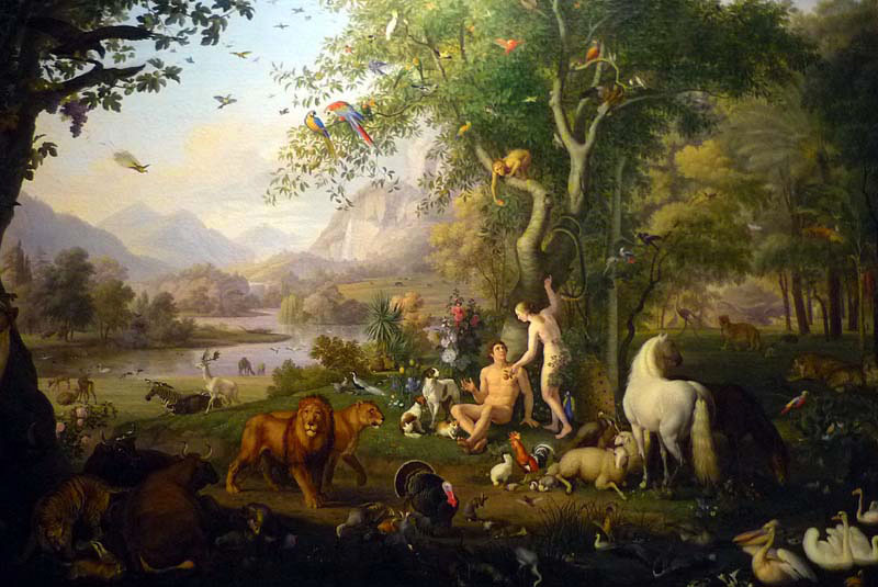 Blue Wonder Power Milk