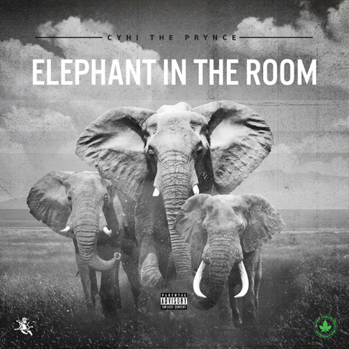 Elephant in the Room