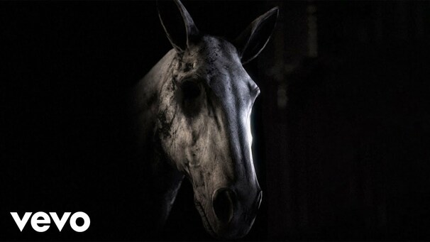 Everybody Needs Someone