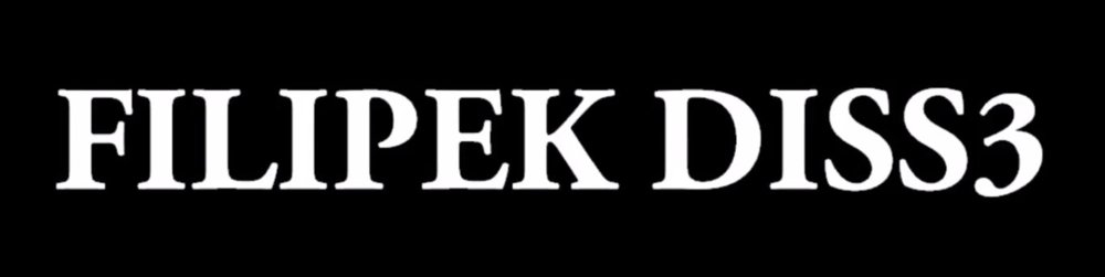 FILIPEK DISS 3