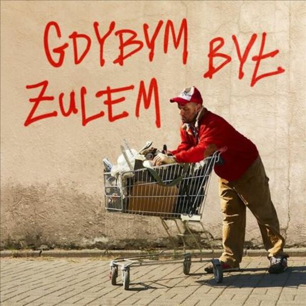 Gdybym był żulem