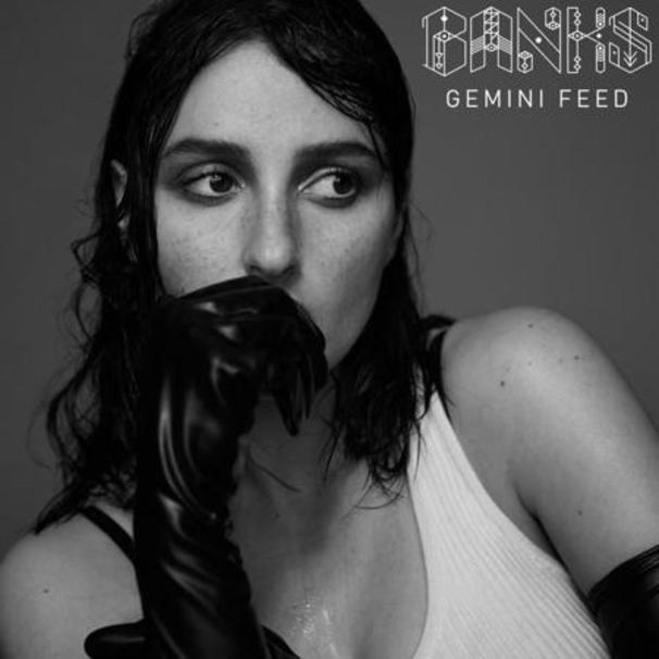 Gemmini Feed