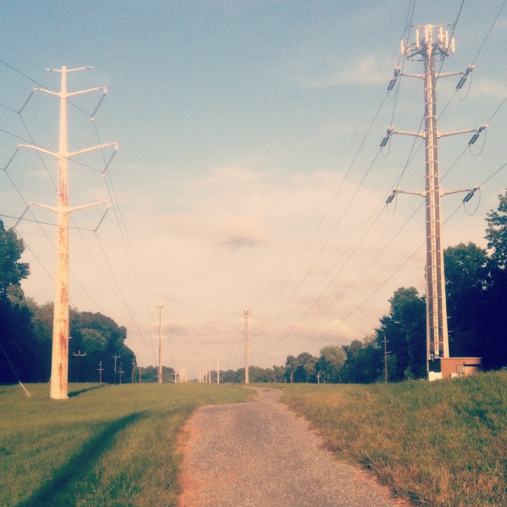 Genesis (Chapter One)