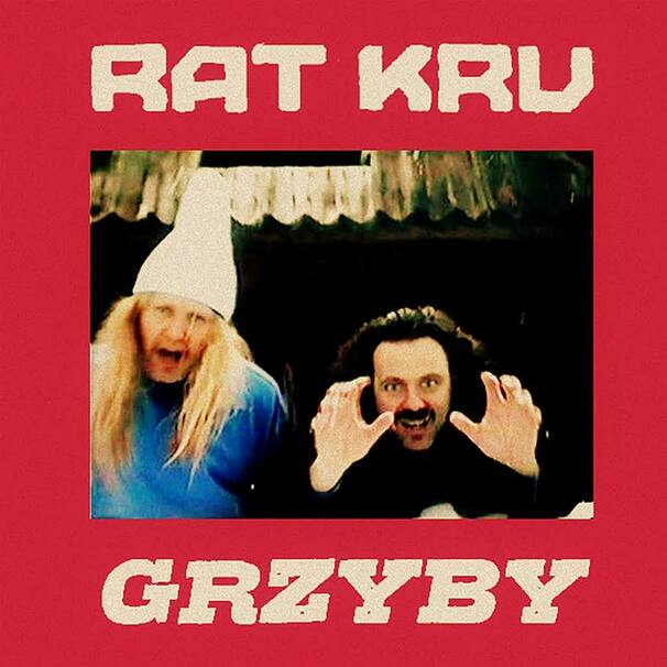 GRZYBY