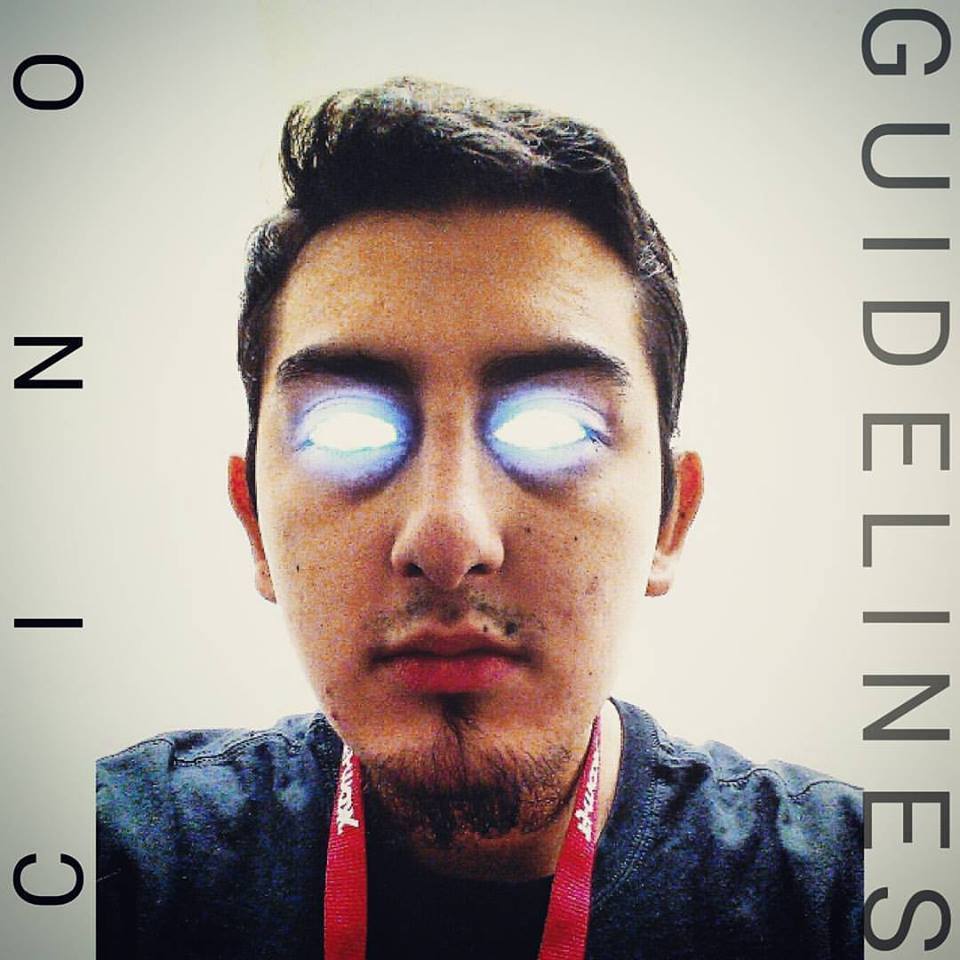 Guidelines (Qash Qai & Barreta Diss)