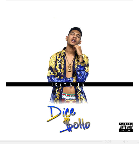 Icey Life
