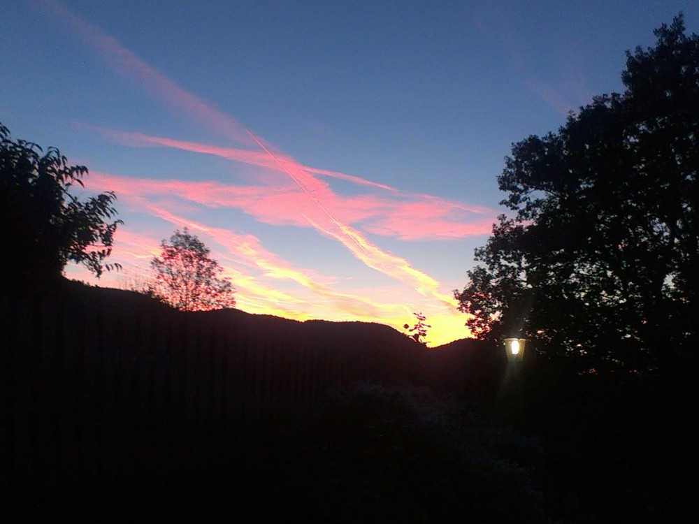 Freetracks & Exclusives