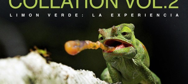 Collation Vol. 2 – Limon Verde La Experiencia