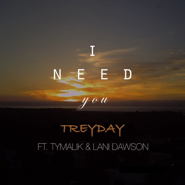I Need You (Feat Ty Malik & Lani Dawson)