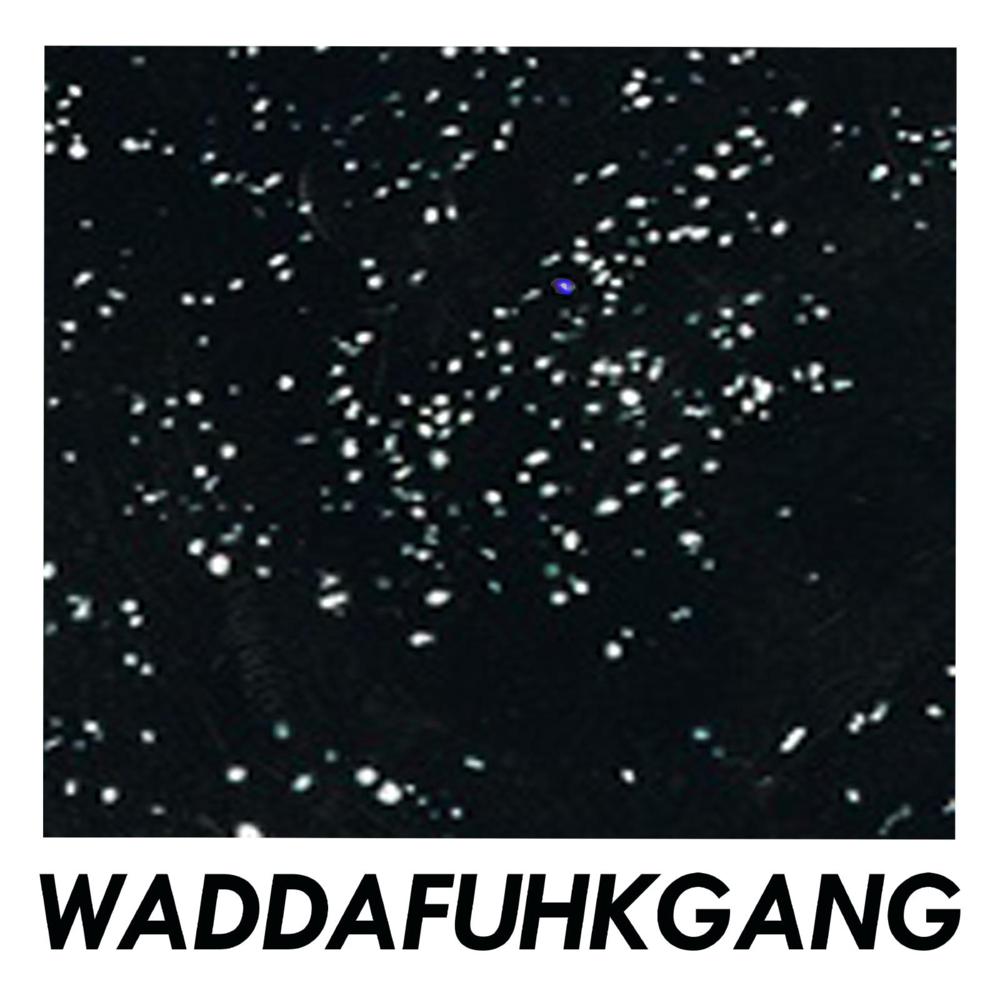 Picture Puzzle Pattern Door