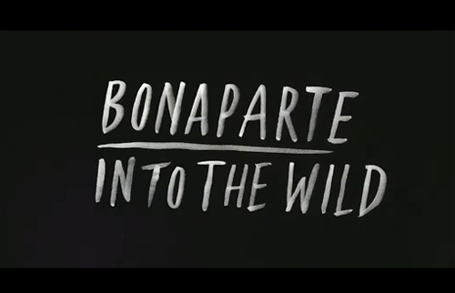 INTO THE WILD - Bootlegs, Reworks & Rehashes