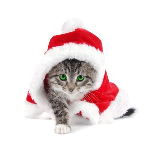 Joyeux Noel