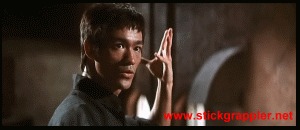 Kung Fu Antics
