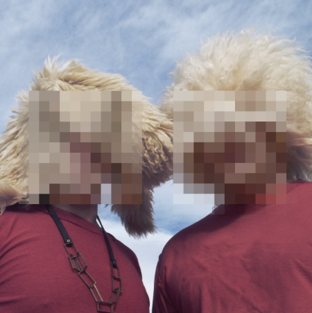 Beasts from a Silk Womb