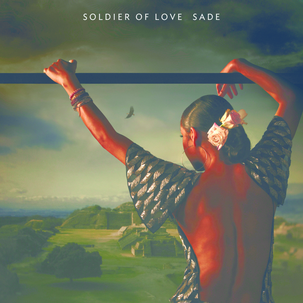 Soldier Of Love
