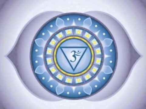 Freetracks & Exclusives