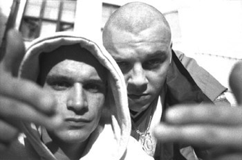 Operacja Kocia Karma