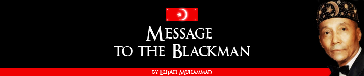 Message to the Blackman in America