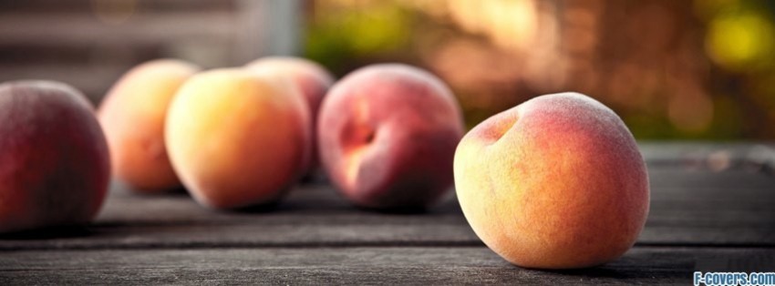 Garden State of Mind: Ready to Live