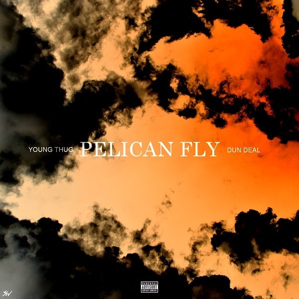 Pelican Fly