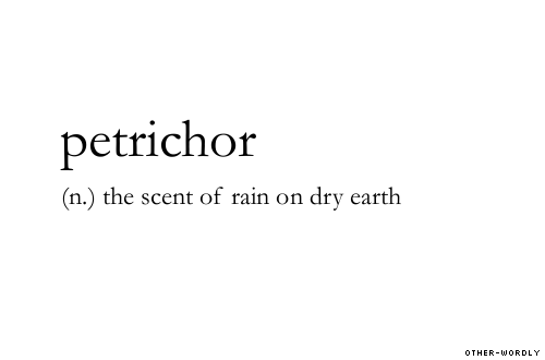 Petrichor
