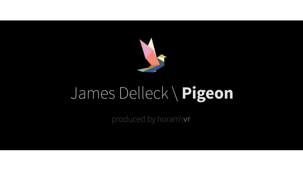 Pigeon