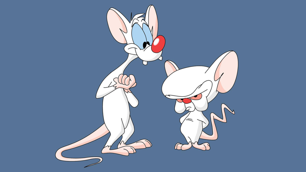 Pinky & Brain