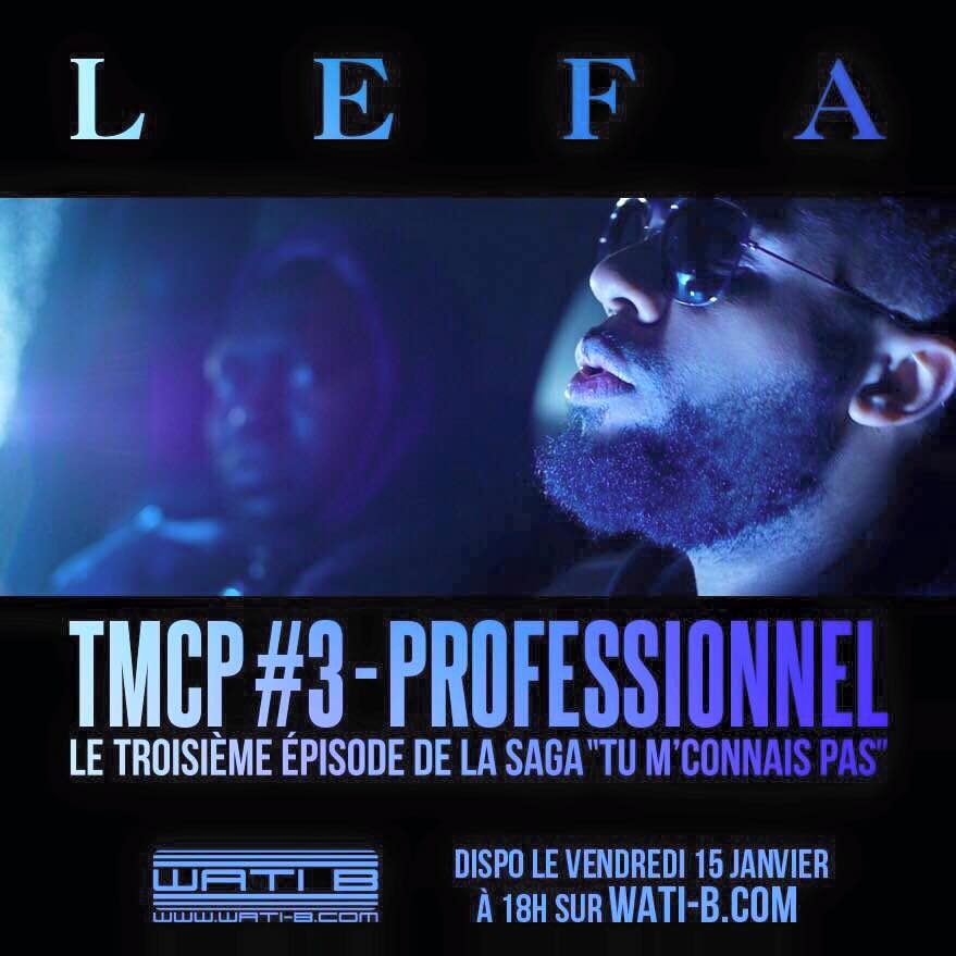 Professionnel (TMCP #3)