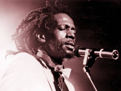 Red Rose For Gregory