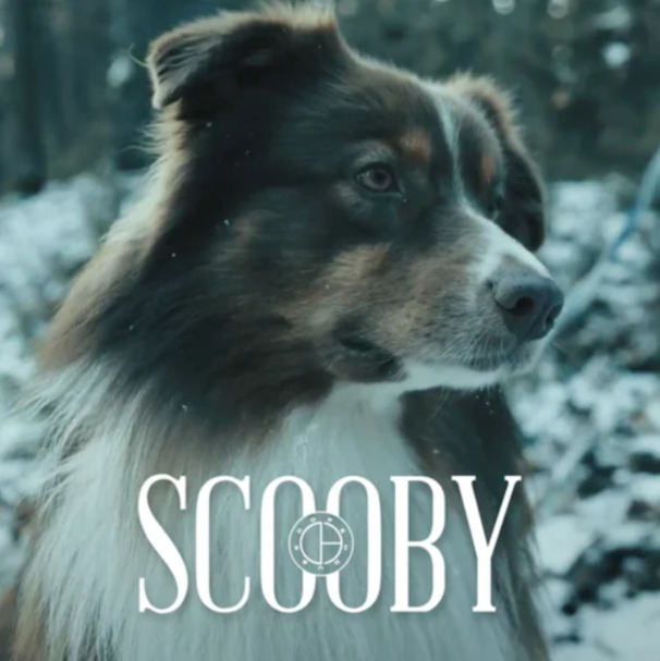 Scooby