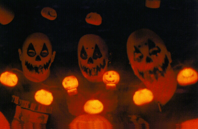 Season Of The Pumpkin