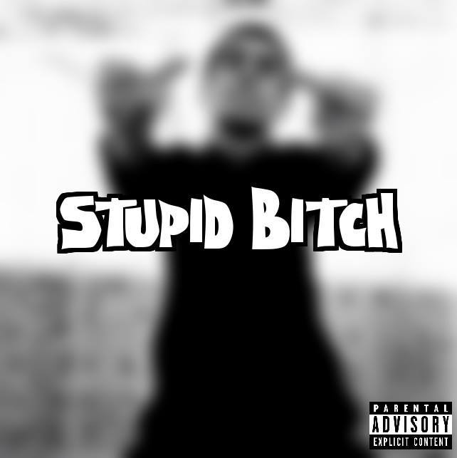Stupid Bitch