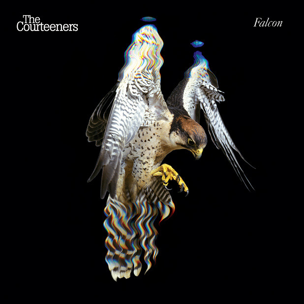Falcon