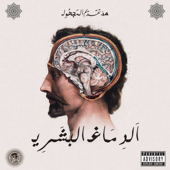 Human Brain | اَلدِمَـــاغ البَشَـــرِي